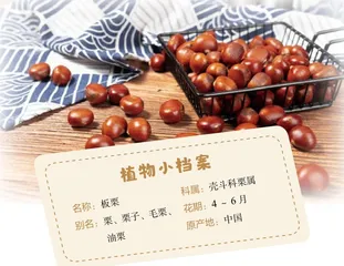 板栗为什么用糖炒2
