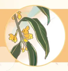 比看上去更有意思