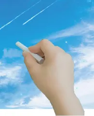 立足文本　突出文化　强化能力