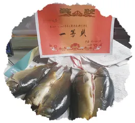 奖励之外是温情