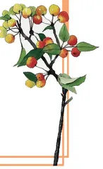 果树园闹腾起来了（节选）