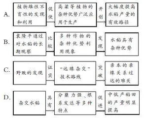 筛选并整合文中的信息