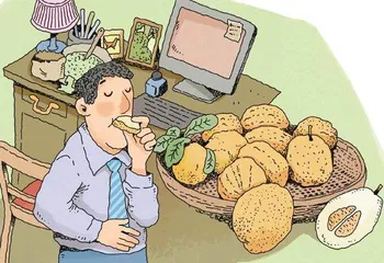 每年尝一次香橼