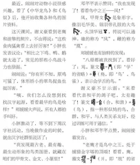 鸟儿的图册