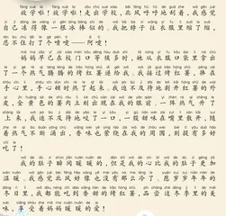 冬日里的温暖