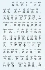小乌龟