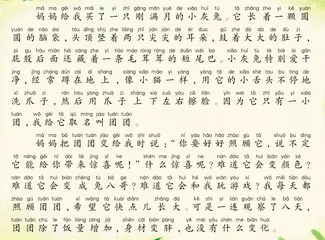 神奇的小灰兔