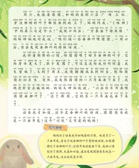 神奇的小灰兔1