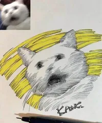 照片变成表情包
