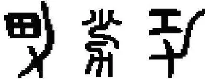 它们现在长啥样？