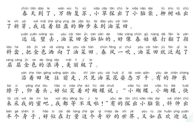 春天的油菜花