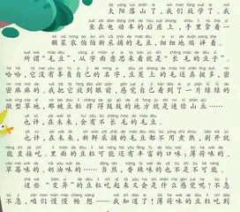 一颗毛豆引发的畅想