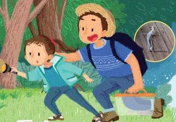 尖头蚂蚱