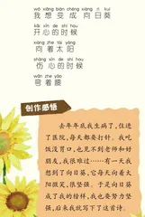 向日葵