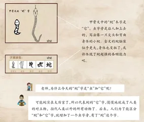 蛇