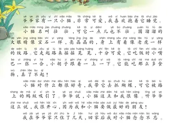 我想要一只小猫