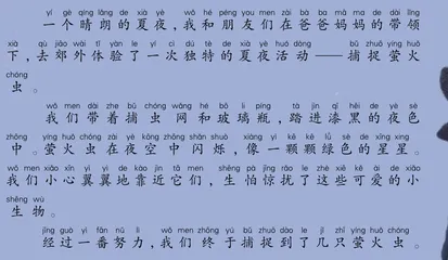 捕捉萤火虫的夜晚