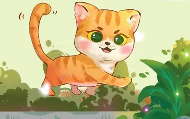 特别的小猫，特别的爱