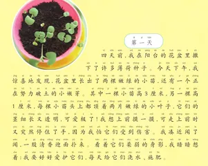薄荷生长日记