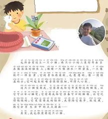 小猫需要我