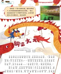 铜梁火龙 