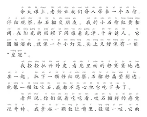有意思的小石榴