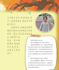 有意思的小石榴1