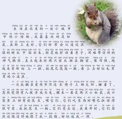 可爱的小松鼠