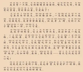 心爱的小狗