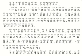 雪莲果