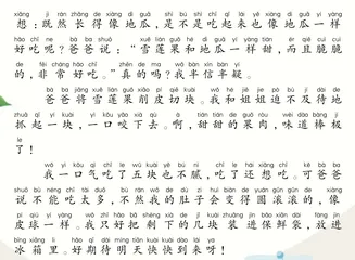 雪莲果1