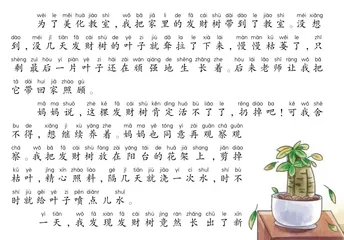 顽强的发财树