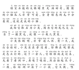 小 炭