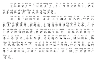 加油鸭