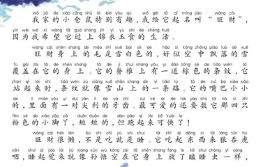 锦衣玉食的小仓鼠