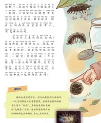 西瓜虫1