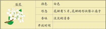 玩转绘本《春天》2