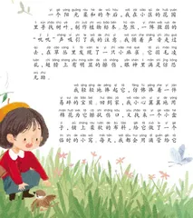 小麻雀