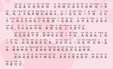 “女皇”花花1
