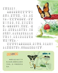 毛毛虫找家1