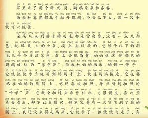 家里的新成员