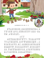 角落里的小秘密