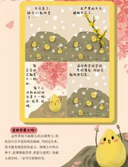 坚持不懈，静待花开1