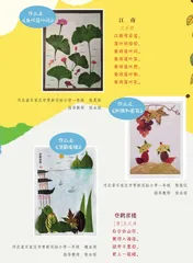 落叶成画2