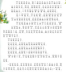 橘子树