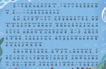 海龟宝宝成长记