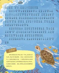 海龟宝宝成长记1