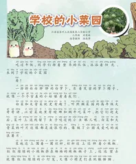 学校的小菜园