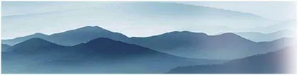 虚实结合