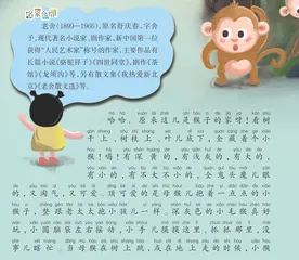 可爱的猴子